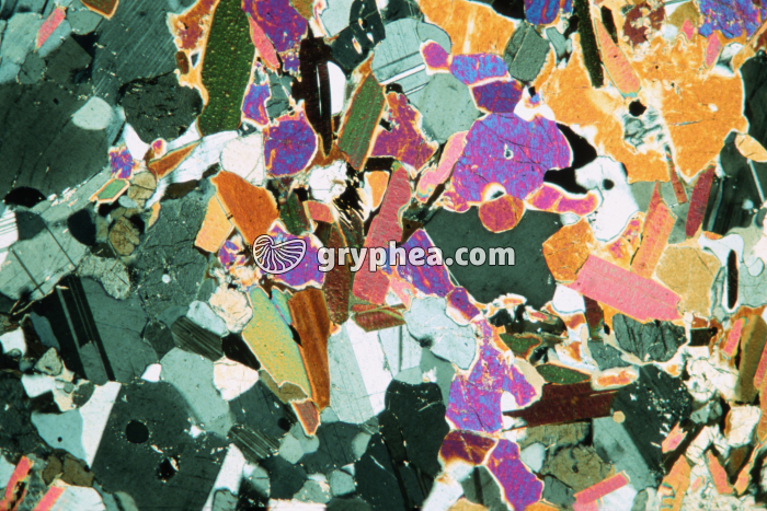 Granulite LPA x2 - gryphea.com